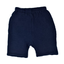 Load image into Gallery viewer, indego