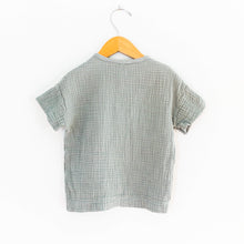 Load image into Gallery viewer, pigeon