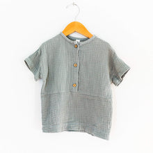 Load image into Gallery viewer, pigeon