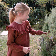 Load image into Gallery viewer, terracotta