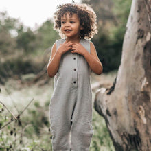 Load image into Gallery viewer, fog