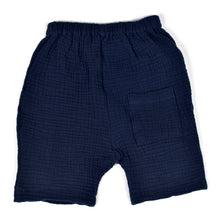 Load image into Gallery viewer, indego