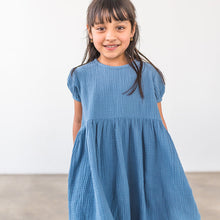 Load image into Gallery viewer, blue jay