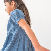 Load image into Gallery viewer, blue jay