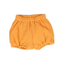 Load image into Gallery viewer, sunflower