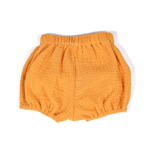 Load image into Gallery viewer, sunflower